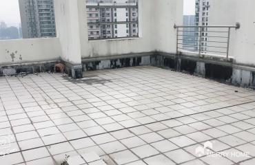 top floor,200sqm roof terrence,3brs,best location in Lujiazui